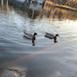 Meet your Posher, Karalynn